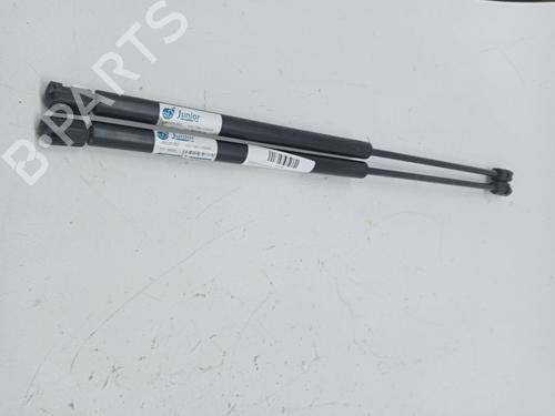Used Tailgate lift support NISSAN QASHQAI / QASHQAI +2 I (J10, NJ10, JJ10E) 2.0 dCi All-wheel Drive (150 hp) 23975288