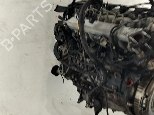 Engine KIA CEE'D Hatchback (ED) 1.6 CRDi 90 | BP31916148M1 