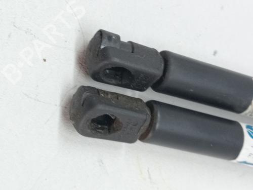Tailgate lift support NISSAN QASHQAI I (J10, NJ10) 2.0 dCi All-wheel Drive | BP23975288C138