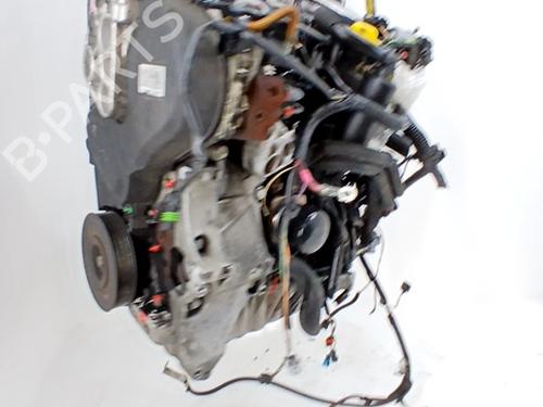 Engine RENAULT MEGANE II (BM0/1_, CM0/1_) 1.9 dCi | BP30336964M1