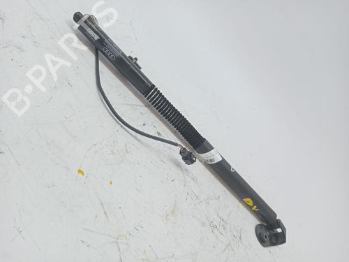 Used Tailgate lift support AUDI A7 Sportback (4GA, 4GF) 3.0 TDI quattro (204 hp) 23369270