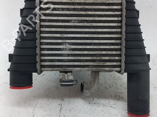 Used Intercooler Intercooler SMART FORFOUR (454) 1.5 CDI (454.001) (95 hp) 36539452 36539452