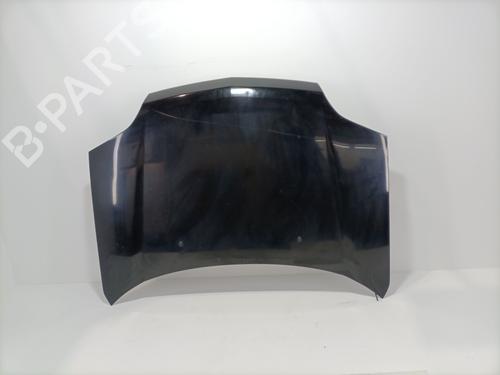 Panser NISSAN X-TRAIL I (T30) 2.2 dCi 4x4 (136 hp) 25613081