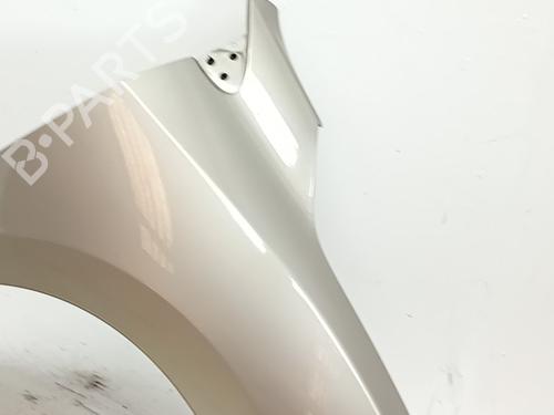 right-front-fenders-renault-megane-iii-hatchback-bz01_-b3_-2008-38002821 main image