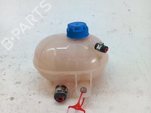 Used Expansion tank FIAT 500 (312_) 1.0 Mild Hybrid (312AYD1B) (71 hp) 30898241