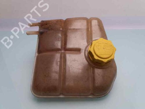 Used Expansion tank FORD TOURNEO CONNECT 1.8 TDCi (90 hp) 23383660