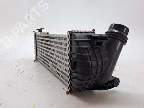 Intercooler RENAULT KANGOO / GRAND KANGOO II (KW0/1_) 1.5 dCi 90 (KW18) | BP27462254M30 