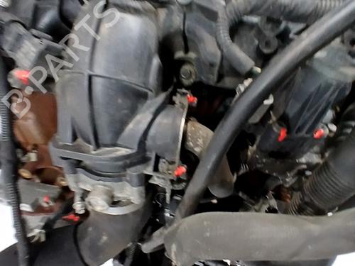 Engine FORD TRANSIT CUSTOM V362 Van (FY, FZ) 2.2 TDCi | BP32383968M1