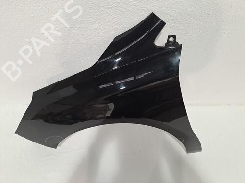 Left front fenders CITROËN C4 II (NC_) 1.6 BlueHDi 100 | BP24402650C41