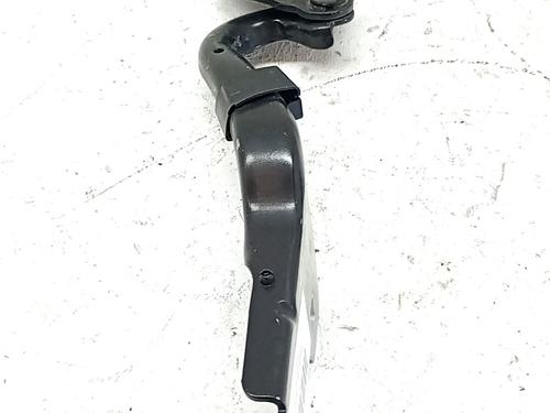 hingedoor-check-strap-renault-clio-iii-br01-cr01-2005-2006-2007-2008-2009-2010-2011-2012-2013-2014-34268037 main image