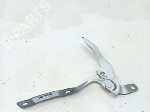 hingedoor-check-strap-citroen-c4-iii-ba_-bb_-bc_-2020-30898318 main image