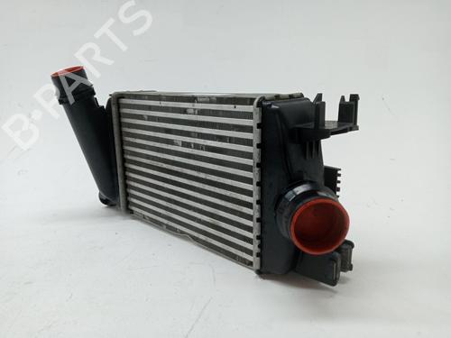 Intercooler NISSAN MICRA V (K14) 0.9 IG-T | BP23977179M30 