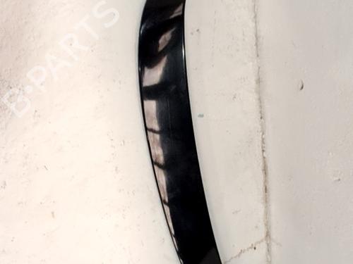 Rear spoiler CITROËN C4 II (NC_) 1.6 HDi 90 | BP29992626C96