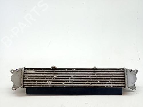 Intercooler HYUNDAI KONA (OS, OSE, OSI) 1.0 T-GDi | BP30771913M30