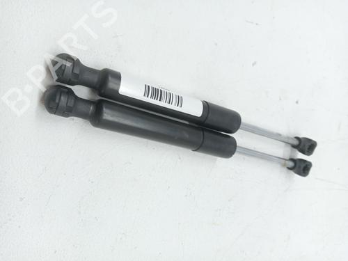 Used Hood lift support RENAULT ZOE (BFM_) ZOE (88 hp) 24189428