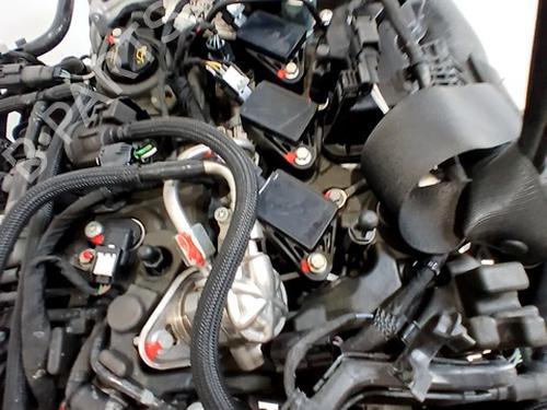 Engine FORD FOCUS IV (HN) 1.0 EcoBoost mHEV | BP29697529M1