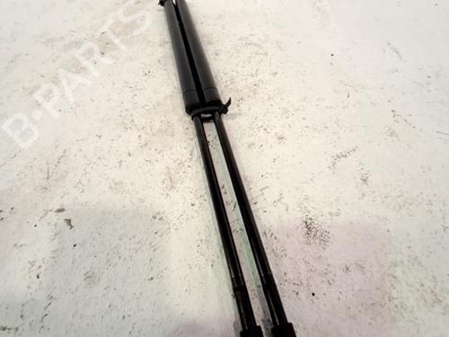 Tailgate lift support FIAT 500 (312_) 1.2 (312AXA1A) | BP29558837C138 