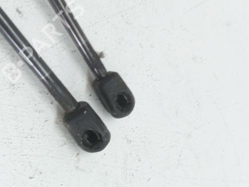 Hood lift support MINI MINI (R50, R53) Cooper | BP24109065C139 