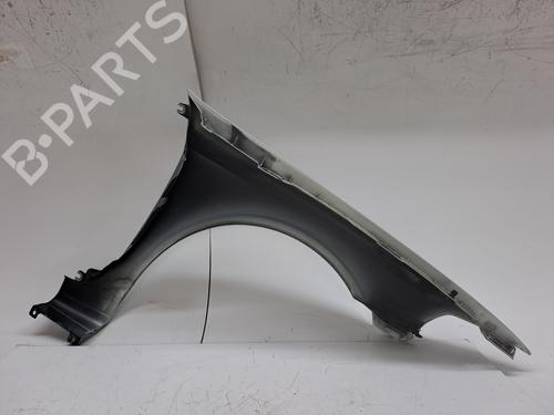 Left front fenders RENAULT LAGUNA II (BG0/1_) 1.9 dCi (BG08, BG0G) | BP23943164C41 