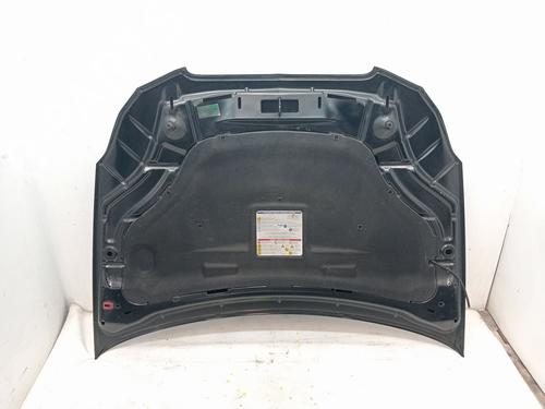 Hood LANCIA DELTA III (844_) 2.0 D Multijet (844.AXD1A, 844.AXM1A) | BP23360424C1 