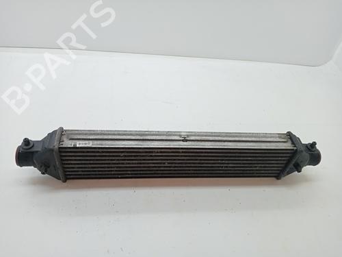 Intercooler FIAT DOBLO Cargo (263_) 1.3 D Multijet | BP23344610M30 