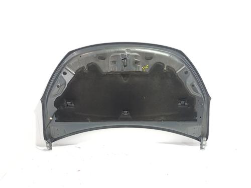Hood DACIA LODGY (JS_) 1.6 SCe 100 (JSAV) | BP29179308C1 