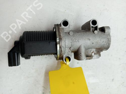 Egr OPEL ZAFIRA / ZAFIRA FAMILY B (A05) 1.9 CDTI (M75) | BP23359976M69 