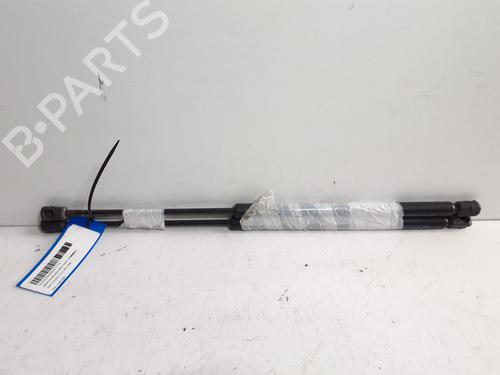 Tailgate lift support SEAT TOLEDO I (1L2) 1.6 i | BP25460649C138 