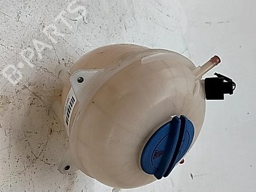 Used Expansion tank VW TRANSPORTER T6 Van (SGA, SGH, SHA, SHH) 2.0 TDI (110 hp) 29325969