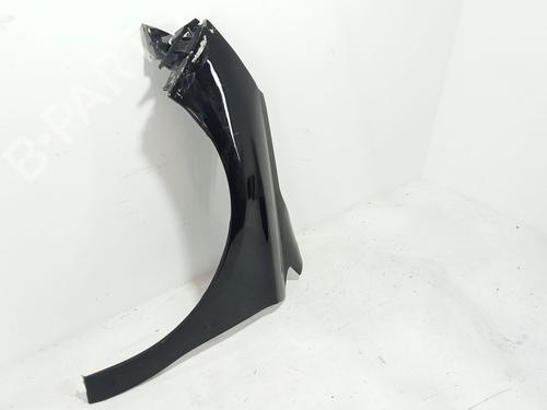 Left front fenders CITROËN C4 II (NC_) 1.6 BlueHDi 100 | BP29420901C41 