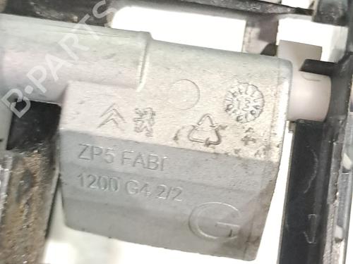 Rear left exterior door handle PEUGEOT 2008 I (CU_) 1.6 HDi | BP28959990C130 
