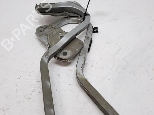 Hinge/Door check strap MINI MINI (R50, R53) One | BP25809387C146