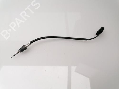 Used Electronic sensor RENAULT KANGOO / GRAND KANGOO II (KW0/1_) 1.5 dCi 75 (KW07, KW10, KW04) (75 hp) 24107780