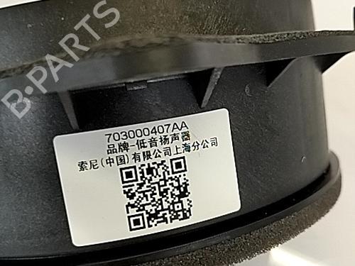 Used Speaker OMODA C5 GT 1.6 (185 hp) 29500276