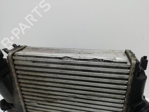 Intercooler NISSAN QASHQAI / QASHQAI +2 I (J10, NJ10, JJ10E) 1.6 | BP25455519M30 