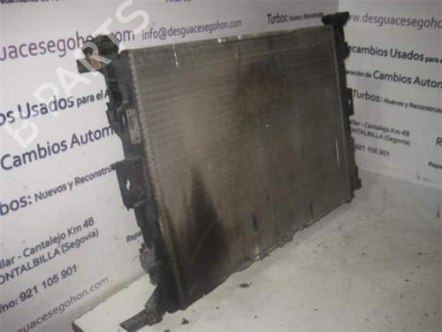 Used Radiator fan RENAULT MEGANE II Saloon (LM0/1_) 1.6 (113 hp) 25809548