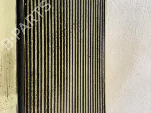 Intercooler Intercooler VW GOLF V (1K1) 2.0 TDI 16V (140 hp) 34496918 34496918
