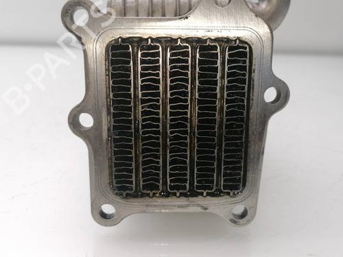 Egr AUDI A8 D3 (4E2, 4E8) 4.2 TDI quattro | BP23941386M69 