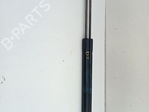 Tailgate lift support FORD FOCUS IV (HN) 1.0 EcoBoost mHEV | BP29606588C138 