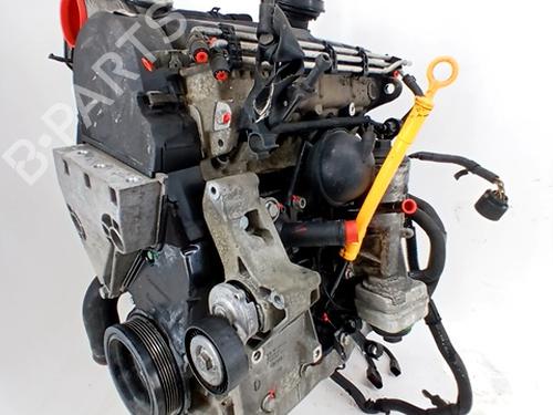 Motor SEAT IBIZA III (6L1) 1.9 TDI (100 hp) 30120811