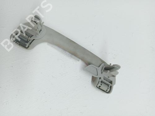 Håndtag i tag NISSAN QASHQAI / QASHQAI +2 I (J10, NJ10, JJ10E) 2.0 | BP27557084I35 