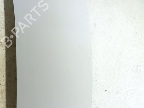 Used Hood Hood FIAT DOBLO Box Body/MPV (510_, 511_) BlueHDi 100 (102 hp) 36321168 36321168