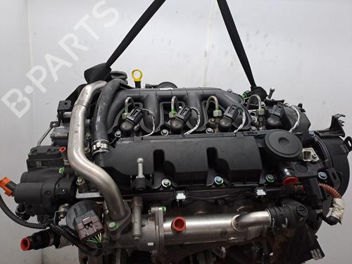 Used Engine FORD FOCUS C-MAX (DM2) 2.0 TDCi (133 hp) 23368747