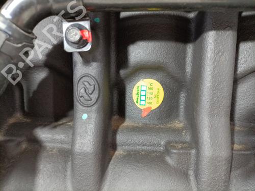 Engine MG MG ZS SUV (AZS1) 1.5 VTi | BP28956979M1