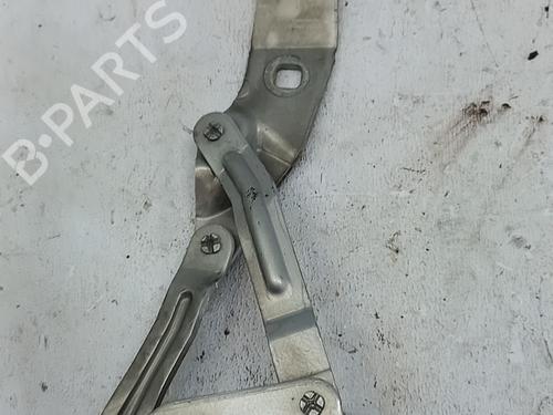 hingedoor-check-strap-renault-scenic-ii-jm01_-2003-2004-2005-2006-2007-2008-2009-2010-34181928 main image