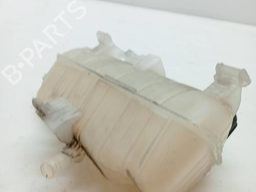 Expansion tank RENAULT KANGOO Express (FW0/1_) 1.5 dCi 75 (FW07, FW10, FW04) | BP23344927C120 