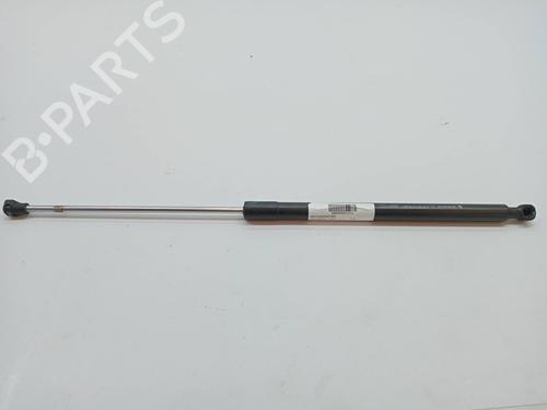 Used Hood lift support DACIA SANDERO II 1.2 (75 hp) 23342159