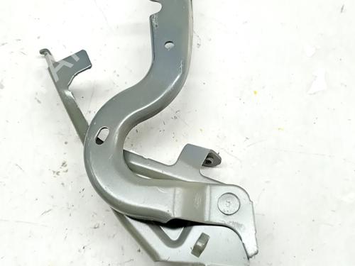 Hinge/Door check strap OPEL CORSA F (P2JO) 1.2 Turbo Hybrid (68) | BP32042121C146
