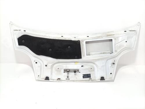Hood NISSAN PRIMASTAR Van (X83) 1.9 dCi 100 | BP29179274C1 