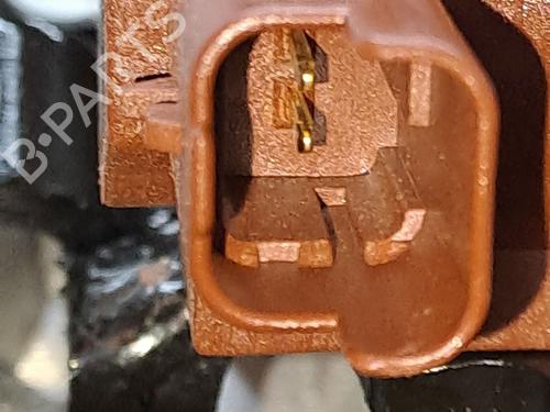 Engine FORD FOCUS C-MAX (DM2) 2.0 TDCi | BP23368747M1 